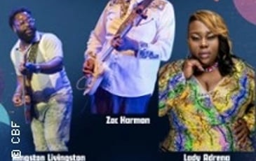 Chicago Blues Festival