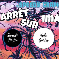 Visite privée de l’expo-vente « Arrêt sur Images »