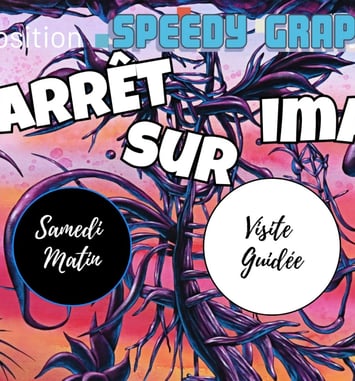 Visite privée de l’expo-vente « Arrêt sur Images »