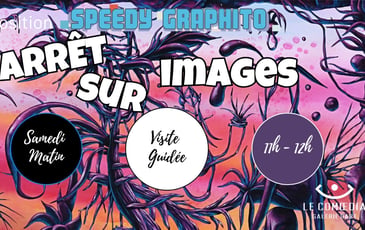 Visite privée de l’expo-vente « Arrêt sur Images »