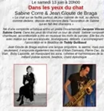 Dans les yeux du chat
