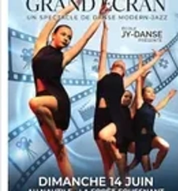 Danse Moderne Jazz, Spectacle de fin d'année
