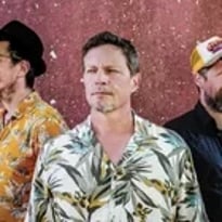 Mojo Diggers en concert