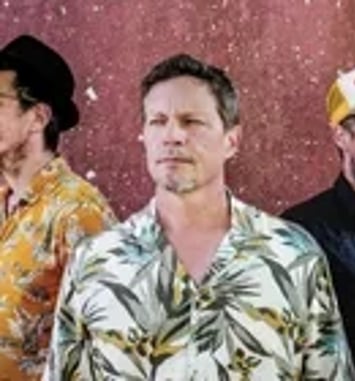 Mojo Diggers en concert