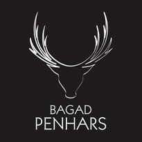 Bagad Penhars et le cercle celtique Danserien Kemper