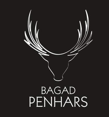 Bagad Penhars et le cercle celtique Danserien Kemper