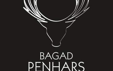 Bagad Penhars et le cercle celtique Danserien Kemper
