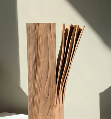 Entaille | Yves Tilly, sculpteur
