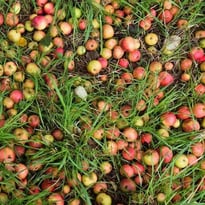 La cuvée Laïta : Rencontre et dégustation avec Les Bouteilles à l'Amère
