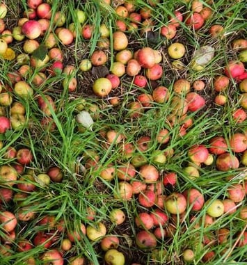 La cuvée Laïta : Rencontre et dégustation avec Les Bouteilles à l'Amère