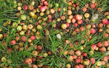 La cuvée Laïta : Rencontre et dégustation avec Les Bouteilles à l'Amère