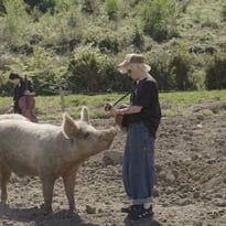 Patricia Allio Autoportrait aux Refuges d'Animaux d'Élevage