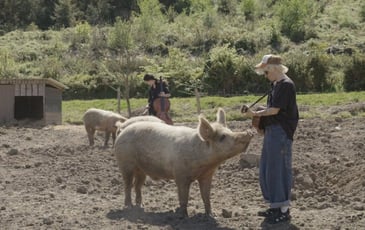 Patricia Allio Autoportrait aux Refuges d'Animaux d'Élevage