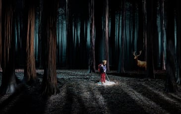 Étienne Saglio, Le Bruit des Loups