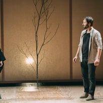 Simon Gauchet, L'Expérience de l'Arbre