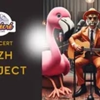 MZH Project