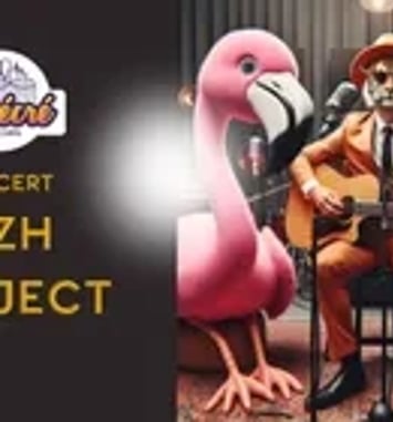 MZH Project