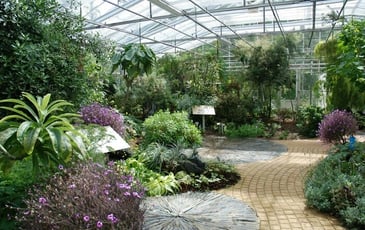 Visite en autonomie des serres tropicales