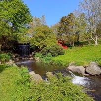Visite guidée du jardin botanique