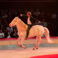 Alex Lutz – Sexe, Grog et Rocking Chair