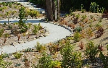 Visite du Jardin Georges Delaselle