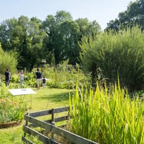 Visite flash, Un jardin qui résiste