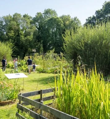 Visite flash, Un jardin qui résiste