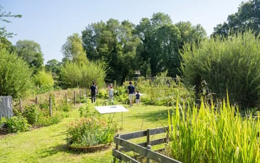 Visite flash, Un jardin qui résiste