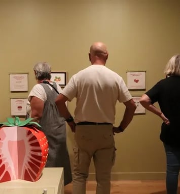 Visite libre du Musée du Pays Plougastel
