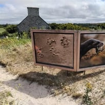 Visite guidée : la loutre, la digue, le polder