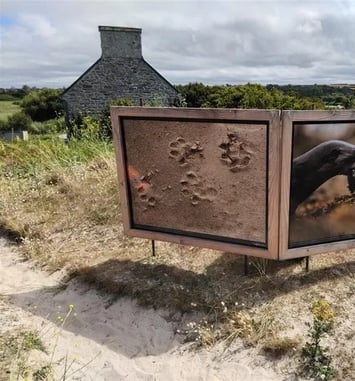 Visite guidée : la loutre, la digue, le polder