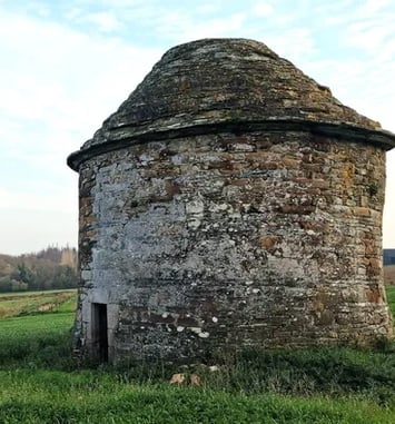 Visite du colombier de Castelmen