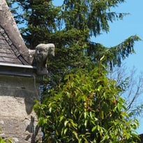 Attention, chantier habité ! Quand patrimoine rime avec biodiversité