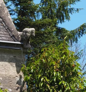 Attention, chantier habité ! Quand patrimoine rime avec biodiversité