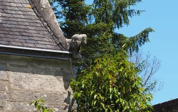 Attention, chantier habité ! Quand patrimoine rime avec biodiversité