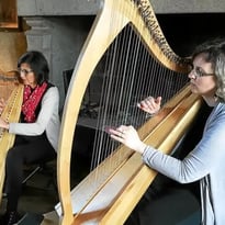 Concert de harpes celtiques par Roz Avel