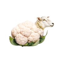 Je ne veux pas dessiner un mouton