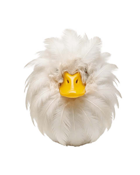 Canard or not Canard