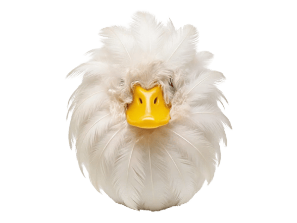 Canard or not Canard