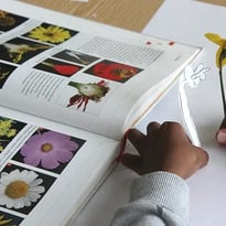 Atelier créatif décomposition du vivant