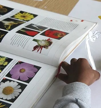 Atelier créatif décomposition du vivant