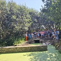 Balade guidée lavoirs et fontaines du nord de l'île