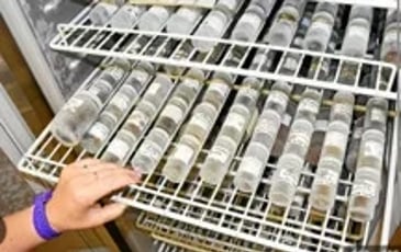 Visite de la banque de graines