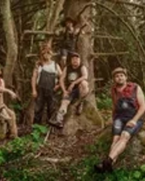 Steve'n'Seagulls