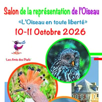 4ème salon de la représentation de l'oiseau