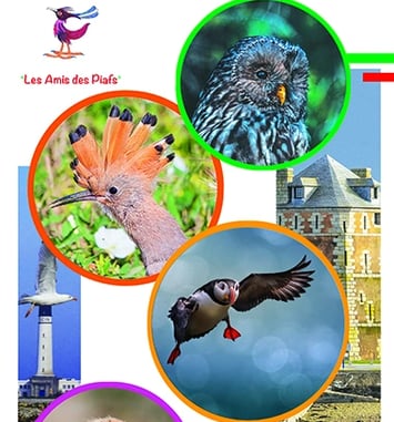 4ème salon de la représentation de l'oiseau