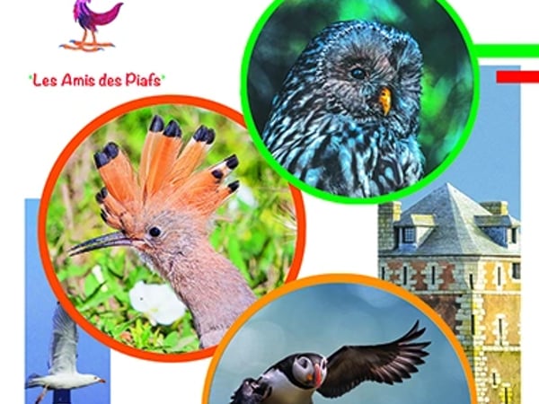 4ème salon de la représentation de l'oiseau