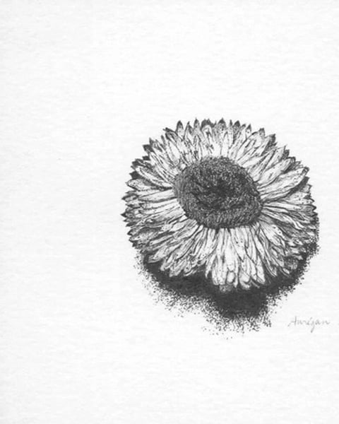 Exposition - Ce que le point chuchote