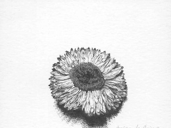 Exposition - Ce que le point chuchote