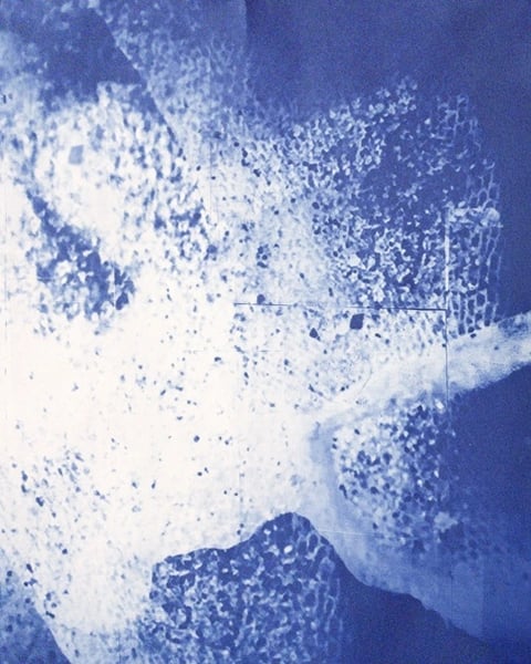 Exposition Cyanotype - Brigit Ber